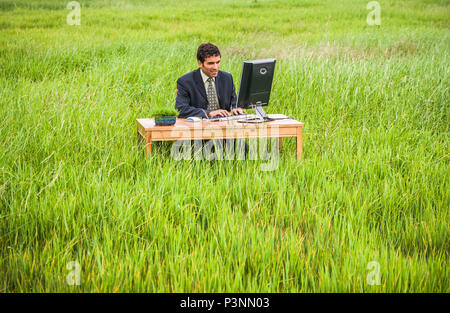 A businessman sitting at a desk in a green grassy field working on a computer. Green business concept. Stock Photo