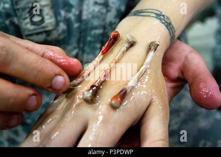Army Reserve Sgt. 1st Class Kristina Boettcher applies chicken bones to a Soldier’s arm to simulate a de-gloving injury during Warrior Exercise 86-16 at Fort McCoy, Wis., on July 20, 2016. Boettcher, a licensed practical nurse, says the moulage provides a realistic training injury for WAREX participants where the skin is pulled away to expose bones, muscles and tissues during an incident. Boettcher, an Army medic assigned to 7306th Medical Training Battalion (Training Support), based in San Antonio, Texas, says her team of 50 Soldiers will produce more than 500 simulated injuries during the ex Stock Photo