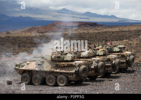 Australian Army soldiers from the 2nd Cavalry Regiment engage targets with Australian Army Light Armoured Vehicles on a live fire range during Exercise Rim of the Pacific 2016. (Australian Defence Force photo by Cpl. Matthew Bickerton) Stock Photo