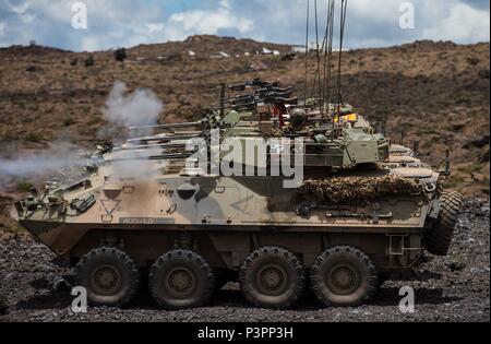 Australian Army Light Armoured Vehicles from the 2nd Cavalry Regiment fire their 25mm chain guns during live fire training for Exercise Rim of the Pacific 2016. (Australian Defence Force photo by Cpl. David Said) Stock Photo