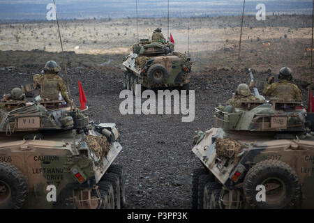 Australian Army soldiers from the 2nd Cavalry Regiment engage targets with Australian Army Light Armoured Vehicles on a live fire range during Exercise Rim of the Pacific 2016. (Australian Defence Force photo by Cpl. Matthew Bickerton) Stock Photo