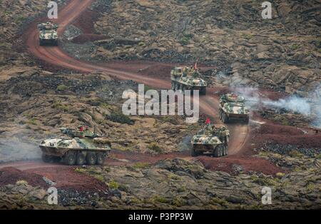 A convoy of Australian Army Light Armoured Vehicles from 2nd Cavalry Regiment fires at targets while conducting a live fire exercise through the Pohakuloa Training Area during Exercise Rim of the Pacific 2016. (Australian Defence Force photo by Cpl. David Said) Stock Photo