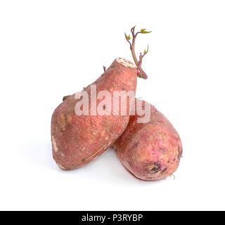 yams photographed on a white background. Stock Photo