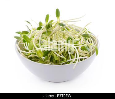 green young sunflower sprouts in the bowl isolated on white background Stock Photo