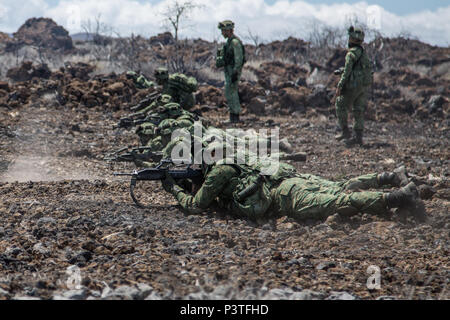 Soldiers assigned to 9th Infantry Brigade, 6th Division, Singapore Armed Forces wait for their assault to begin, at the Pohakuloa Training Area, Hawaii, on July 28, 2016. The assault was part of the larger attack during the combine arms live fire exercise (CALFEX). (U.S. Army photo by Spc. Patrick Kirby, 3rd Brigade Combat Team, 25th Infantry Division) Stock Photo