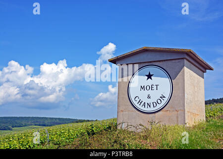 Moët & Chandon Champagne vineyard, Reims mountains regional natural park, Marne, Champagne-Ardennes, France Stock Photo