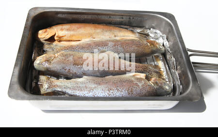 Four fresh trouts in smoker oven. Stock Photo