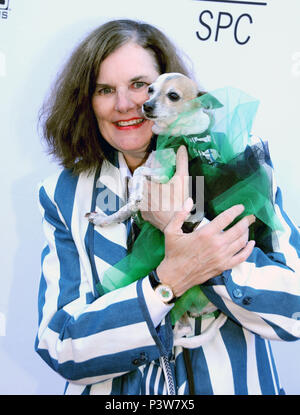Los Angeles, USA. 19th Jun, 2018. Comedian Paula Poundstone attends the Los Angeles Premiere of 'Boundaries' on June 19. 2018 at the Egyptian Theatre in Los Angeles, California. Photo by Barry King/Alamy Live News Stock Photo