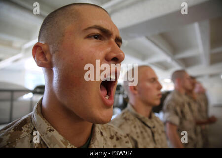A recruits from Echo Company, 2nd  Recruit Training Battalion, responds  loudly to his drill instructor’s orders at Marine Corps Recruit Depot San Diego, July 29. Drill instructors teach recruits discipline and instant obedience to orders. Annually, more than 17,000 males recruited from the Western Recruiting Region are trained at MCRD San Diego. Echo Company is scheduled to graduate Oct. 21. Stock Photo