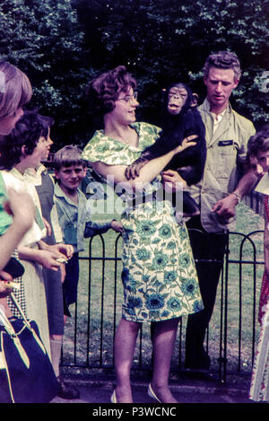 The days before health and safety when zookeepers would let you hold wild animals such as this baby Chimpanzee. Image taken during the 1960s. Stock Photo