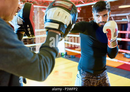 Professional trainer with boxer on ring Stock Photo