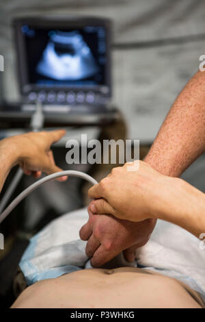 U.S. Navy Lt. Cmdr. Robert Oldt, an emergency physician with Special Purpose Marine Air-Ground Task Force-Crisis Response-Africa demonstrates proper positioning procedures for conducting a Focused Assessment with Sonogram in Trauma exam with U.S. Navy Corpsman, July 21, 2016. SPMAGTF-CR-AF medical personnel conducted FAST exams using the Forward Resuscitative Surgery System-Shock Trauma Platoon to enhance mission readiness in the event of a future crisis. FAST is a rapid bedside ultrasound examination performed by surgeons, emergency physicians and certain paramedics as a screening test for bl