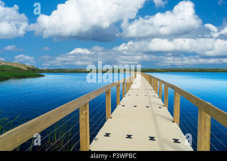 Boardwalk, part of the trail,  across wetlands at Greenwich, Prince Edward Island National Park, PEI, Canada Stock Photo