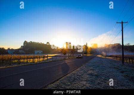 Caxias Do Sul Rs 17 05 2013 Geada Em Caxias Do Sul A Cidade De Caxias Do Sul Registra Temperaturas Baixissimas Em Seus Termometros Foto Miriam Cardoso De Souza Fotoarena Stock Photo Alamy