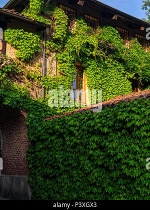 Old-fashioned house wall and arch details in bricks covered with ivy, and old wooden windows, Italy Stock Photo