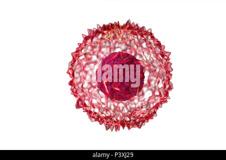 biological cell isolated on whithe background microscope 3D Illustration Stock Photo