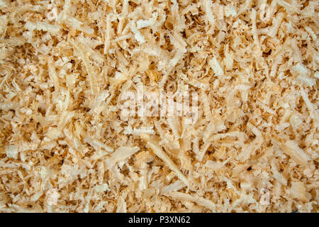 Fresh sawdust texture. Shavings background with copyspace Stock Photo