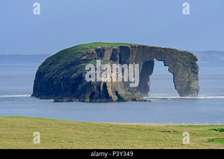 Dore Holm, small islet with natural arch off the coast of Stenness, Esha Ness / Eshaness on Mainland Shetland, Scotland, UK Stock Photo