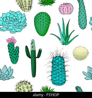 Colored cactuses seamless pattern, hand drawn vector illustration. Succulent collection. n Stock Vector