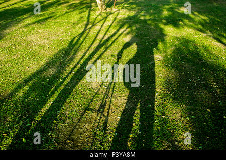 The shadow of photographer on grass field Stock Photo