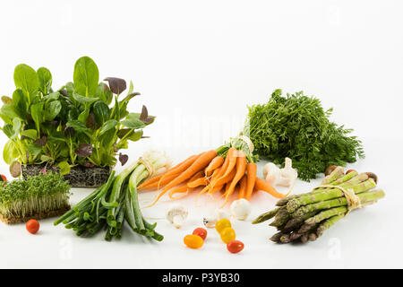 Gemüsemix - japanischer Spinat, Biokarotten, Lauch, Biokresse, Cocktailtomaten, weiße Champignons, grüner Spargel, Avocado, Studio Stock Photo