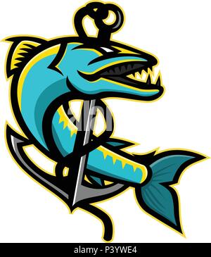 Mascot icon illustration of a great barracuda, a saltwater fish that is snake-like with fearsome appearance and ferocious behaviour, coiling up an anc Stock Vector