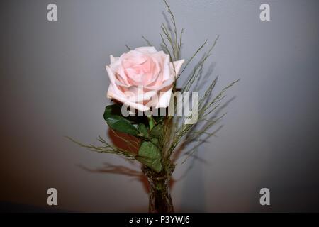 A pink rose in a glass vase Stock Photo