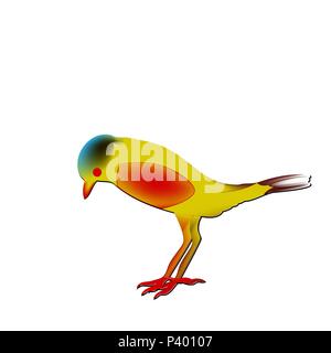 rare passerine bird, Saxicola insignis with a red abdomen. Stock Vector