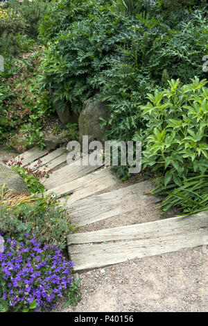 Wooden steps in the dry garden RHS Hyde Hall. Stock Photo