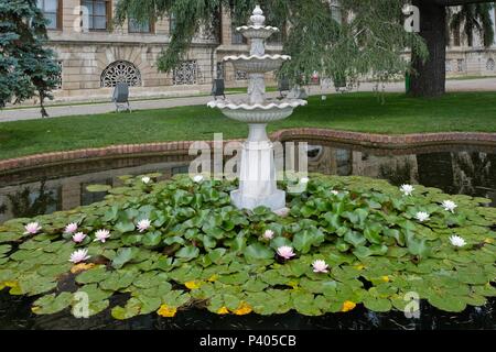 ISTANBUL, TURKEY - MAY 29 : Water Lilies flowering at the  Dolmabache Palace and Museum in Istanbul Turkey on May 29, 2018 Stock Photo