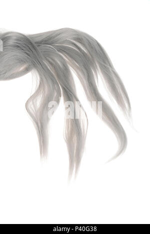 piece of grey weft hair Stock Photo