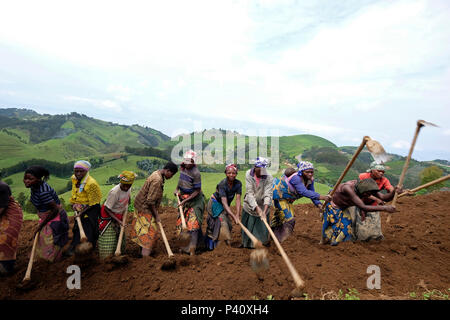 Rwanda, surrounding of Kibuye, peasants at work Stock Photo