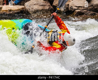 Whitewater kayaker competes in annual Fibark river festival; Arkansas River; Salida; Colorado; USA Stock Photo