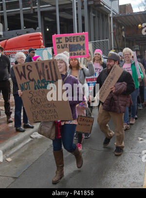 ASHEVILLE, NORTH CAROLINA - JANUARY 20, 2018: People in the 2018 Women's March carry signs promoting DACA (USA Deferred Action for Childhood Arrivals) Stock Photo