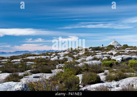 Trail to Maclear’s Beacon, a rock cairn on Table Mountain, built as a triangulation station to assist measuring the curve of the Earth. Stock Photo