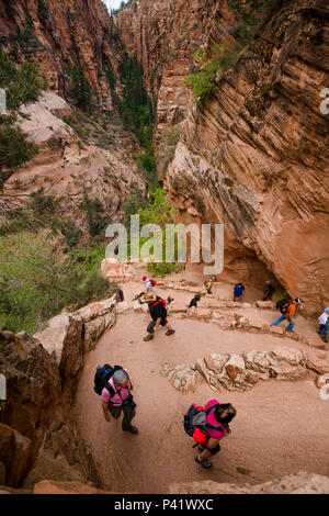 Walter's Wiggles. Zion National Park, Utah Stock Photo - Alamy