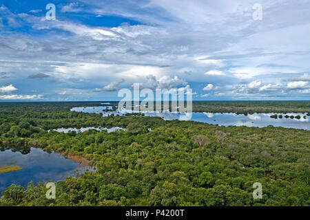 Corumbá MS cavalos cavalos pantaneiro fazenda fazenda no Pantanal Criação  de cavalos Pantaneiro Corumbá Mato Grosso do Sul Brasil Centro oeste Stock  Photo - Alamy