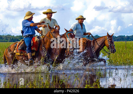 Fazenda 23 de Março - Aquidauana - MS Peão Pantaneiro Peão no Cavalo Cavalo  Pantaneiro Comitiva Comitiva do