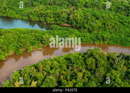 Alagado no pantanal hi-res stock photography and images - Alamy