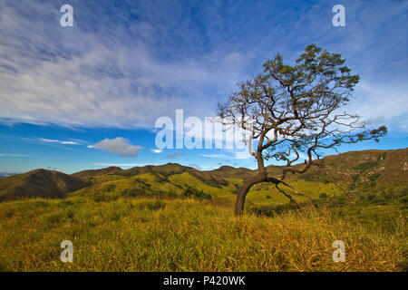 Vegetação de altitude hi-res stock photography and images - Alamy