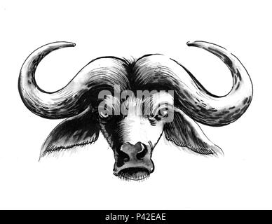 Buffalo bull head. Ink black and white drawing Stock Photo