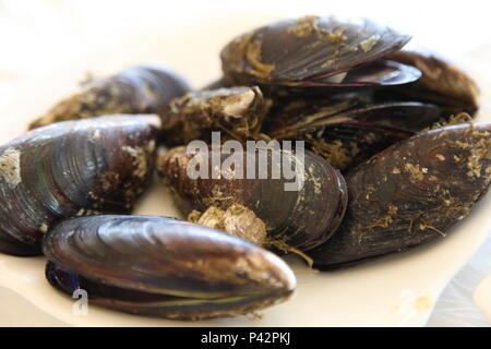 Zhoushan, Zhoushan, China. 16th June, 2018. Zhoushan, CHINA-16th June 2018: Ostrea gigas thunberg. Delicious seafood at Shenjiamen Harbor in Zhoushan, east China's Zhejiang Province. Credit: SIPA Asia/ZUMA Wire/Alamy Live News Stock Photo