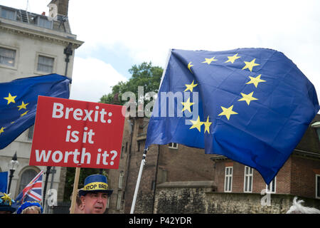 London, UK. 20 June 2018. Protesters outside  Parliament, Westminster, London as Members of Parliament debate the European Union withdrawal bill, June 20th 2018. A man carries a placard saying 'Brexit, is it worth it ?' Credit: Jenny Matthews/Alamy Live News Stock Photo