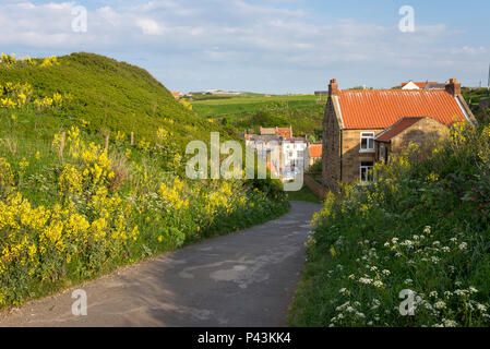 Narrow lane at Cowbar above the village of Staithes in North Yorkshire, England. Stock Photo