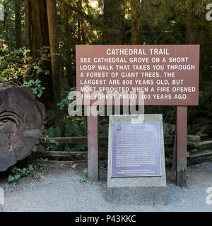 Close-up of signboard, Cathedral Grove MacMillan Provincial Park Trail, Vancouver Island, British Columbia, Canada Stock Photo