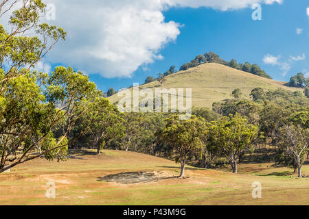 View of the countryside in the Upper Hunter Valley, NSW, Australia. Stock Photo