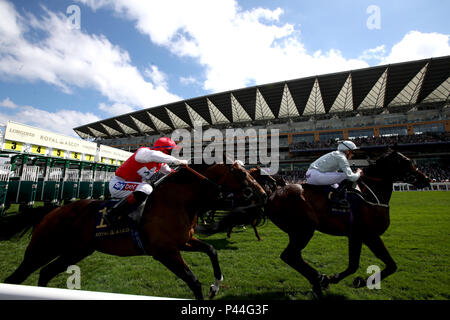 A general view of runners and riders in action in the Queens Vase Race during day two of Royal Ascot at Ascot Racecourse. Stock Photo