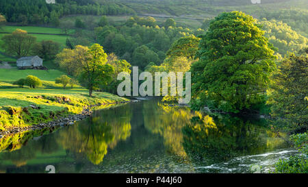 Mirror images on water & riverbank trees reflected on calm, still, scenic, River Wharfe on sunny evening - Wharfedale, North Yorkshire, England, UK. Stock Photo