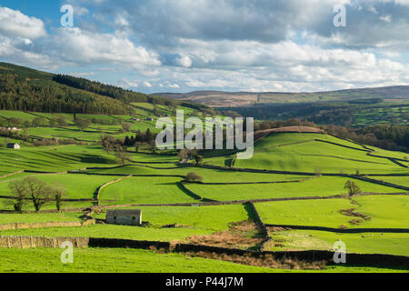 Under dramatic blue sky, long-distance picturesque view of Wharfedale (isolated barns & green pasture in sunlit valley) - Yorkshire Dales, England, UK