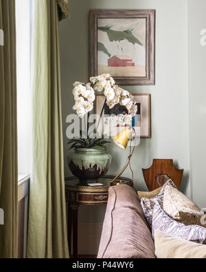 Flowering orchid on vintage side table Stock Photo